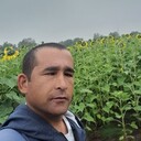 ���������� ������, ���� ������� ����, 36 ���, ������������ ��� c�������� ���������