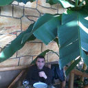 ���������� ������, ���� ������� ROBERT, 46 ���, ������������ ��� ������