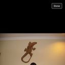 ���������� �������, ���� ������� Saidbek, 37 ���, ������������ ��� ������