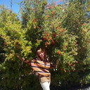  ,   , 60 ,     , c 
