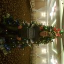 ���������� ������, ���� ������� ���, 44 ����, ������������ ��� ������