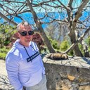 ���������� �����������, ���� ������� ���������, 38 ���, ������������ ��� ������, ����� � ���������, c�������� ���������