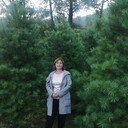 ���������� �����������, ���� ������� �������, 43 ����, ������������ ��� c�������� ���������