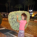 ���������� ������, ���� ������� ������, 55 ���, ������������ ��� ������, ����� � ���������, c�������� ���������