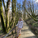 ���������� ������, ���� ������� �����, 31 ���, ������������ ��� ���������