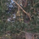 ���������� �������, ���� ������� ���������, 42 ����, ������������ ��� ������, ����� � ���������, c�������� ���������, ���������