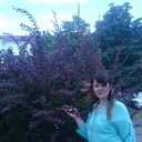  ,   , 48 ,   c 