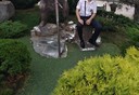  ,   , 32 ,   ,   , c 