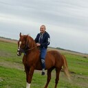 ���������� ���������, ���� ������� ����� �, 46 ���, ������������ ��� ������, ����� � ���������