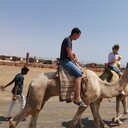 ���������� ������������, ���� ������� ����, 31 ���, ������������ ��� ������, ����� � ���������, c�������� ���������, ���������