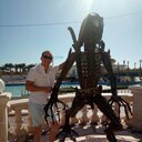 ���������� �������, ���� ������� �������, 36 ���, ������������ ��� ����� � ���������, c�������� ���������, ���������