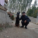 ���������� ������, ���� ������� �����, 35 ���, ������������ ��� ������, ����� � ���������, c�������� ���������