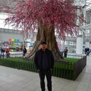 ���������� �������, ���� ������� ����, 49 ���, ������������ ��� ������, ����� � ���������