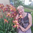  ,   , 55 ,   ,   , c , 