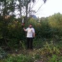 ���������� �����-���������, ���� ������� ����������, 46 ���, ������������ ��� ������, ����� � ���������, c�������� ���������