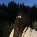  -,   , 33 ,  