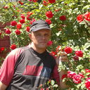   ,   , 52 ,     , c 