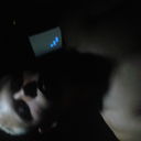  ,   89526382856, 33 ,   ,   , c 