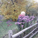   ,   , 63 ,   ,   , c 