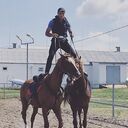 ���������� �����, ���� ������� ������, 36 ���, ������������ ��� ������, ����� � ���������, c�������� ���������