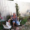  ,   , 66 ,   ,   , c 