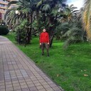  ,   , 35 ,   ,   