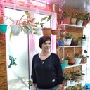 ���������� �������, ���� ������� �������, 50 ���, ������������ ��� ������, ����� � ���������, c�������� ���������, ���������