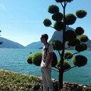 ���������� �����-���������, ���� ������� ���������, 37 ���, ������������ ��� ������, ����� � ���������