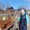 ���������� �����, ���� ������� �������, 63 ����, ������������ ��� ���������