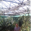  -,   , 39 ,   ,   , c 