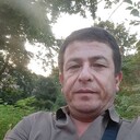  -,   , 41 ,   ,   