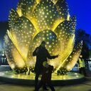 ���������� ������ ��������, ���� ������� ����, 36 ���, ������������ ��� ������, ����� � ���������