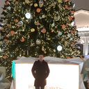 ���������� ���������, ���� ������� �����, 31 ���, ������������ ��� ������, ����� � ���������, c�������� ���������, ���������