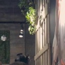 ���������� ������, ���� ������� �����, 28 ���, ������������ 