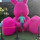 ,   , 41 ,     , c 