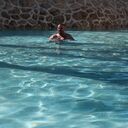  Flensburg,   Sergio, 40 ,   ,   