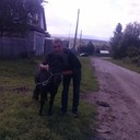  ,   , 38 ,   ,   , c 