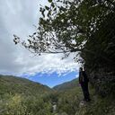 ���������� ������, ���� ������� �������, 38 ���, ������������ ��� ������