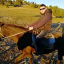 ���������� ����, ���� ������� �����, 43 ����, ������������ ��� ������, ����� � ���������, c�������� ���������