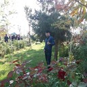 ���������� �������, ���� ������� �����, 31 ���, ������������ ��� ������, ����� � ���������