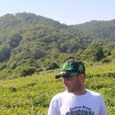 ���������� ������, ���� ������� ����, 41 ���, ������������ ��� ������, ����� � ���������, c�������� ���������