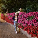 ���������� �����, ���� ������� ��������, 38 ���, ������������ ��� ������, ����� � ���������, c�������� ���������