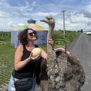  -,   , 42 ,   ,   