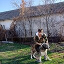  ,   , 50 ,   ,   , c 