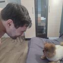 ���������� �����, ���� ������� ���������, 34 ����, ������������ ��� ������, ����� � ���������, c�������� ���������