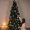 ���������� ������������, ���� ������� �������, 27 ���, ������������ ��� ������, ����� � ���������