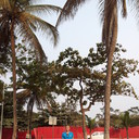  ,   , 47 ,   ,   , c 