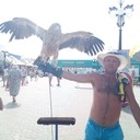 ���������� ������, ���� ������� �������, 38 ���, ������������ ��� ������, ����� � ���������, c�������� ���������