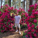  ,   , 61 ,   ,   , 