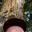  ,   , 49 ,   ,   , c 